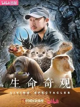 《生命奇观》：一场震撼心灵的自然史诗，探索生命的无限可能与脆弱之美